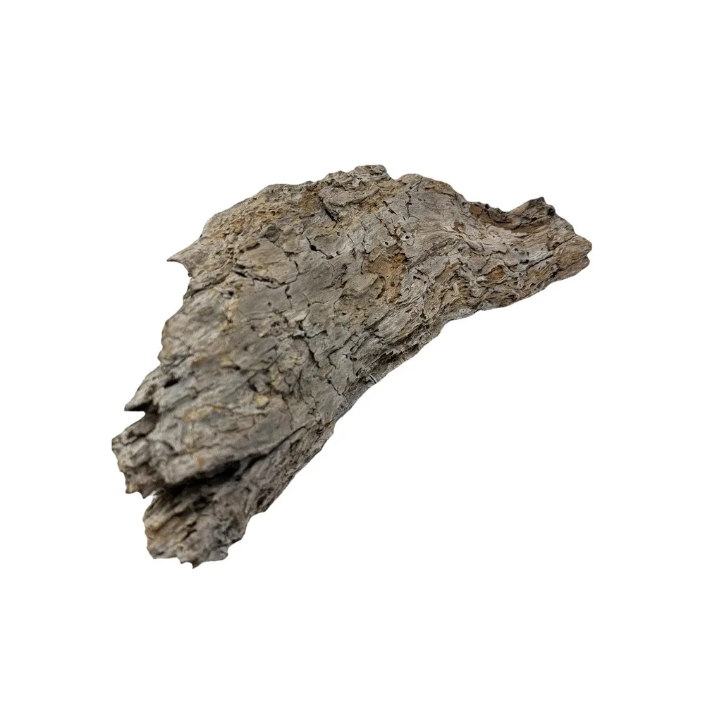 Curved Weathered Driftwood Slab with Deep Texture – Organic Natural Wood Decor